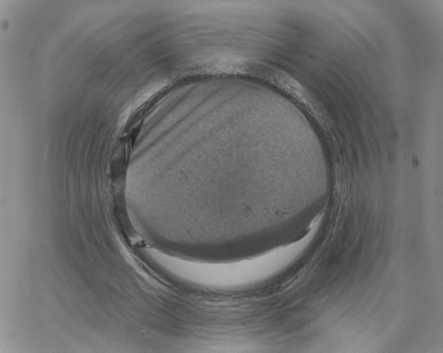 X0000064740677200603131319