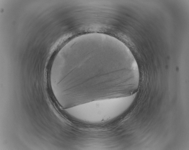 X0000064740678200603131319