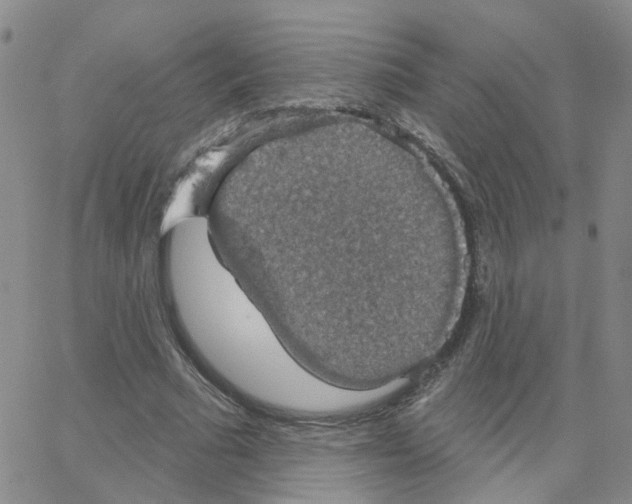 X0000064740681200603131319