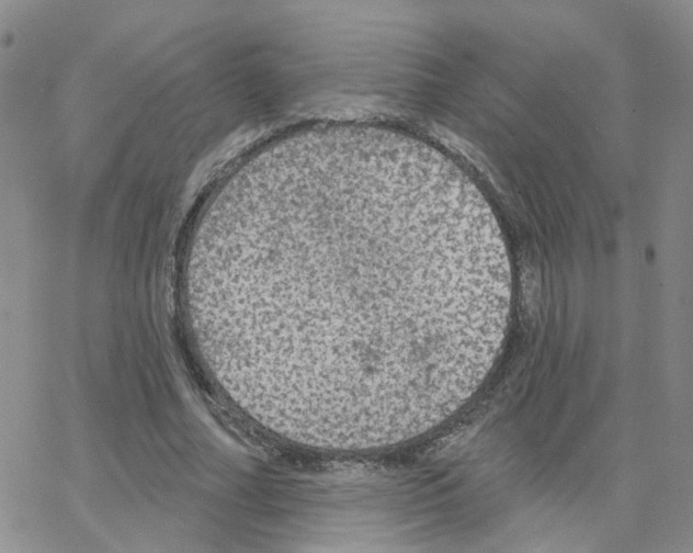 X0000064740682200603131319