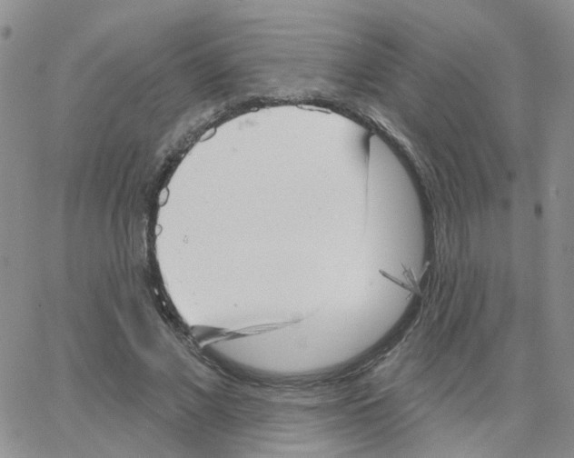 X0000064740685200603131319