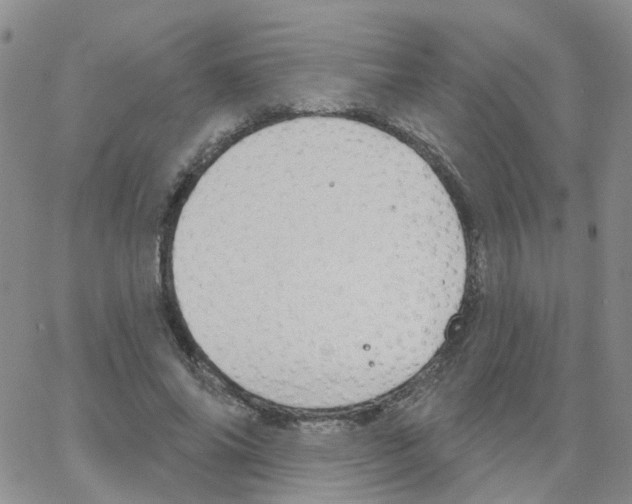 X0000064740686200603131319