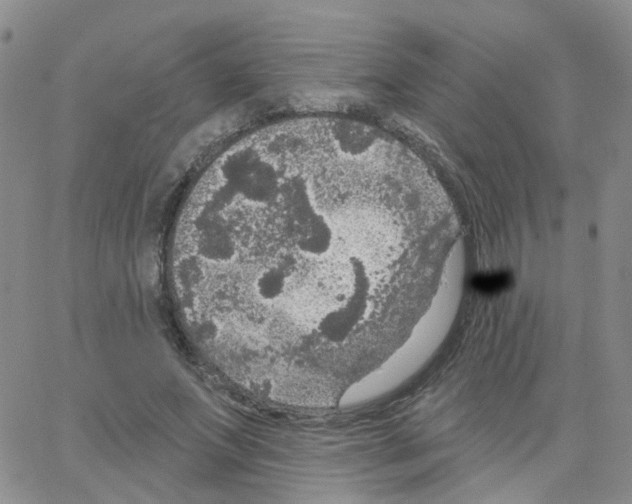 X0000064740687200603131319