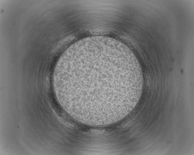 X0000064740690200603131319