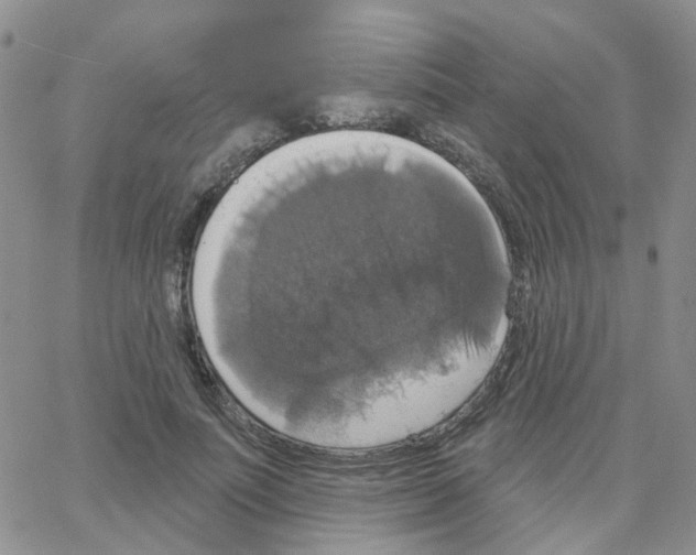 X0000064740691200603131319