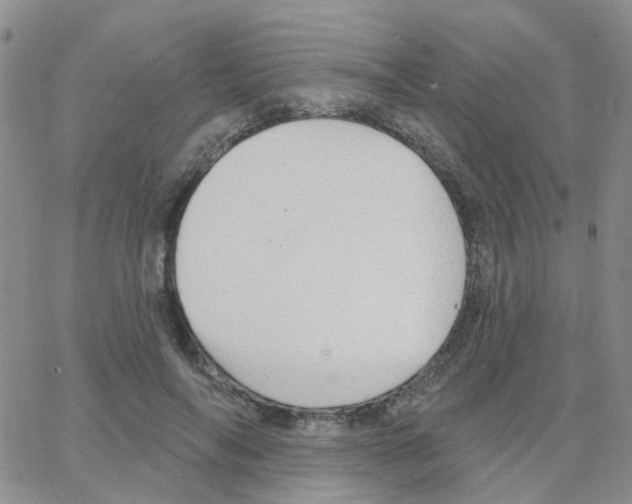 X0000064740694200603131319