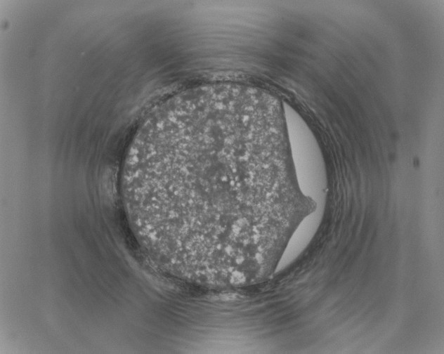 X0000064740695200603131319