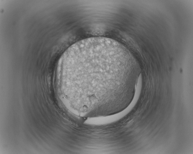 X0000064740697200603131319