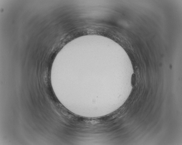 X0000064740698200603131319