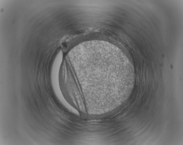 X0000064740700200603131319