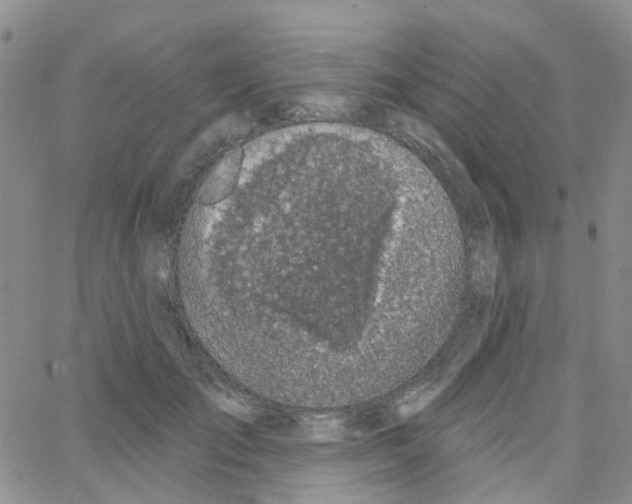 X0000064740701200603131319