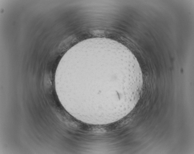 X0000064740702200603131319