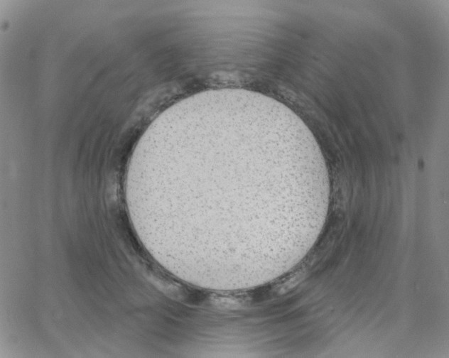 X0000064740706200603131318