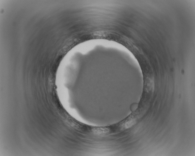 X0000064740707200603131318