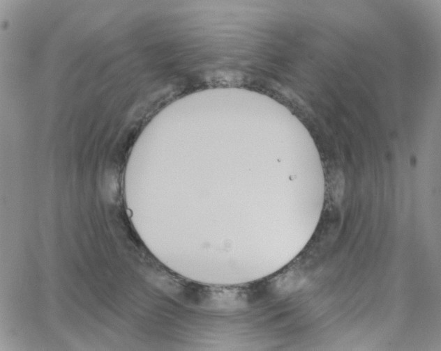 X0000064740709200603131318