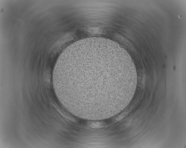 X0000064740710200603131318