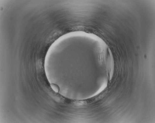 X0000064740711200603131318