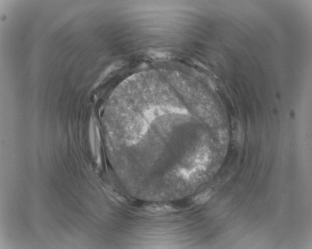 X0000064740712200603131318