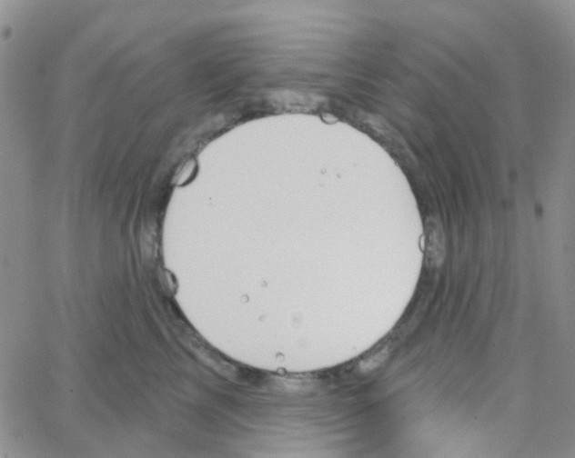 X0000064740713200603131318