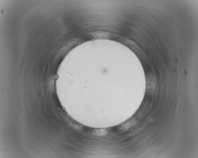 X0000064740717200603131318