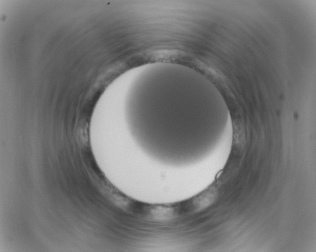 X0000064740718200603131318