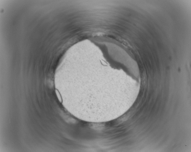 X0000064740719200603131318