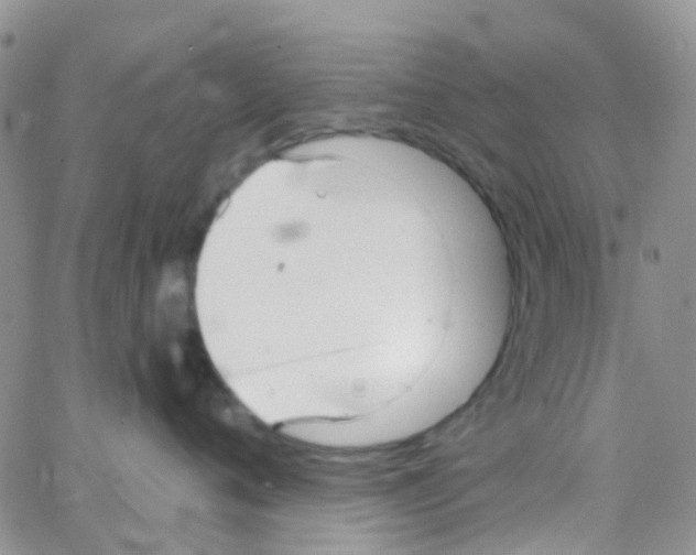 X0000064740720200603131318