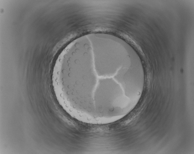 X0000064740721200603131317