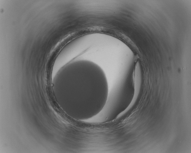 X0000064740722200603131317