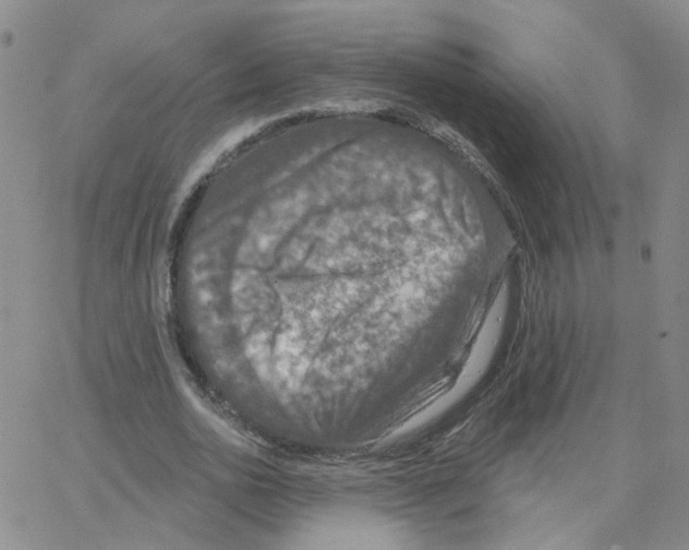 X0000064740726200603131318