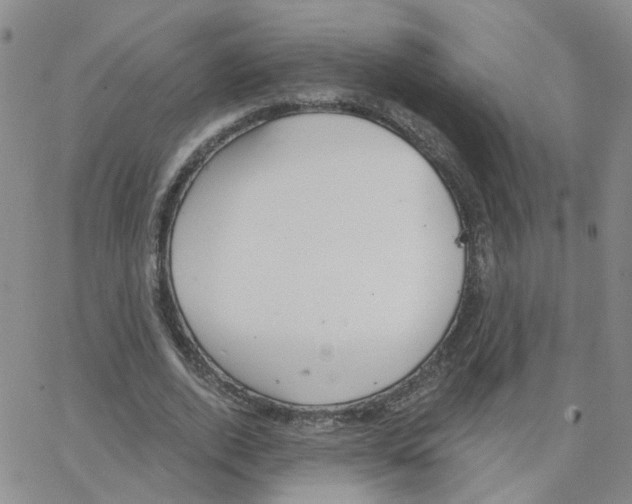 X0000064740728200603131318