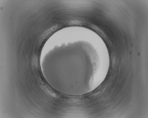 X0000064740729200603131318