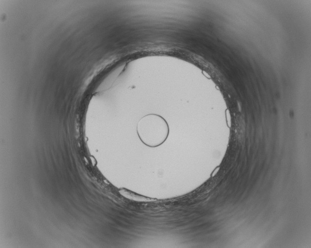 X0000064740731200603131318