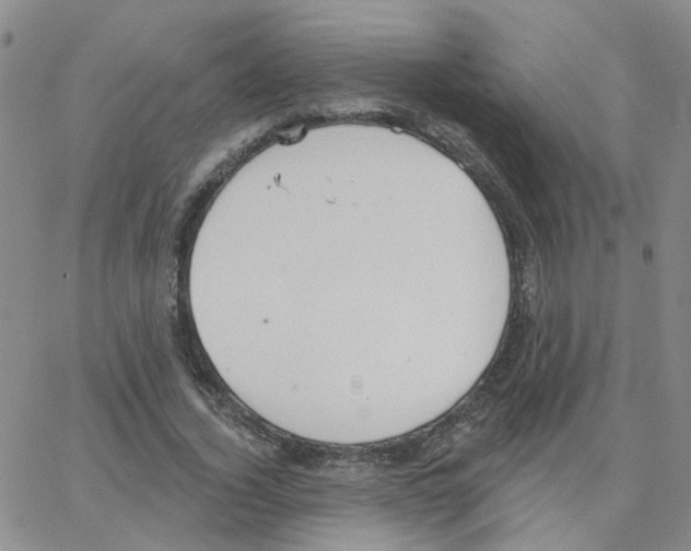 X0000064740732200603131318