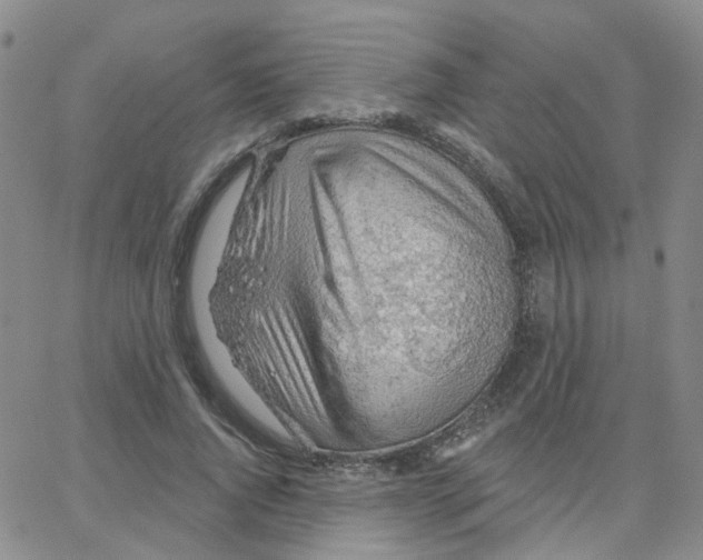 X0000064740736200603131318