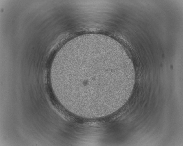 X0000064740738200603131318