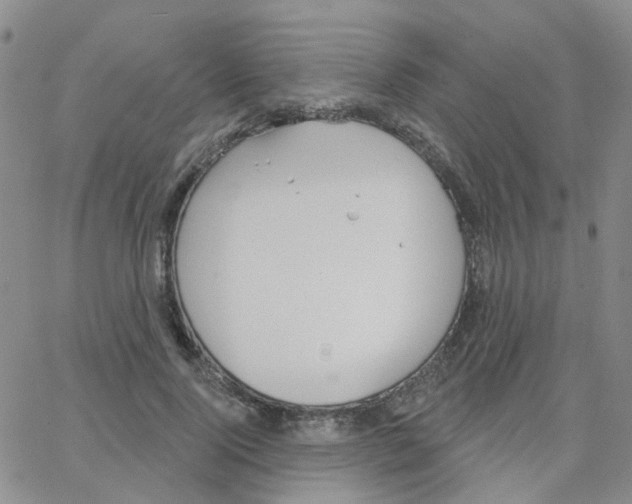 X0000064740740200603131318