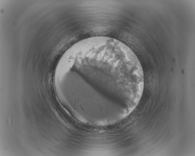 X0000064740742200603131318