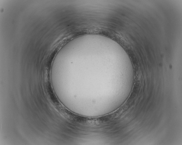 X0000064740744200603131318