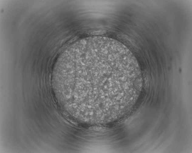 X0000064740745200603131318