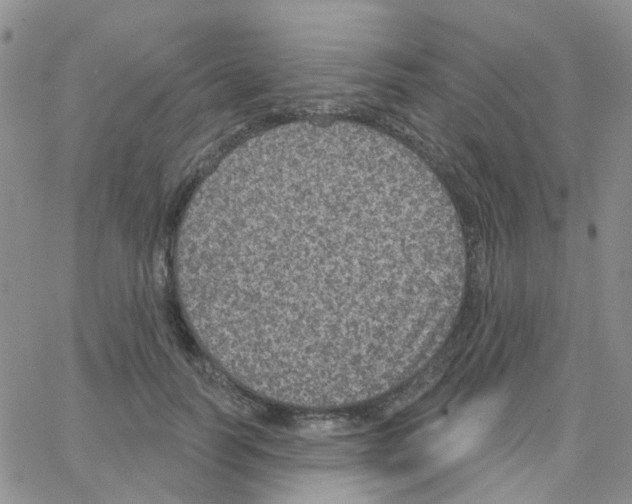 X0000064740746200603131318