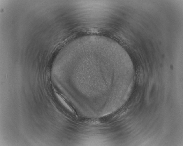 X0000064740747200603131318