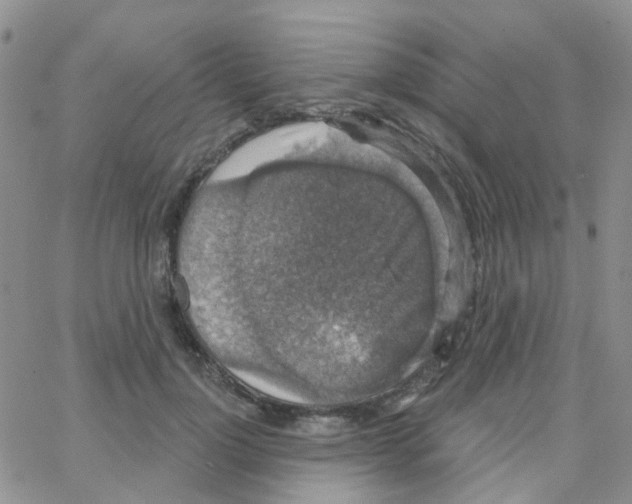 X0000064740748200603131318