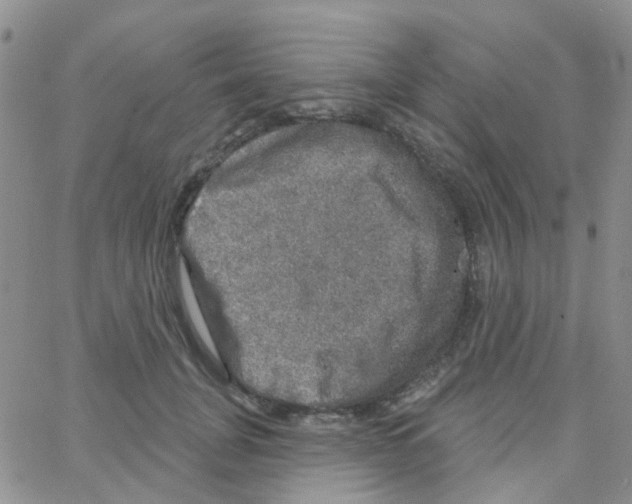 X0000064740751200603131318