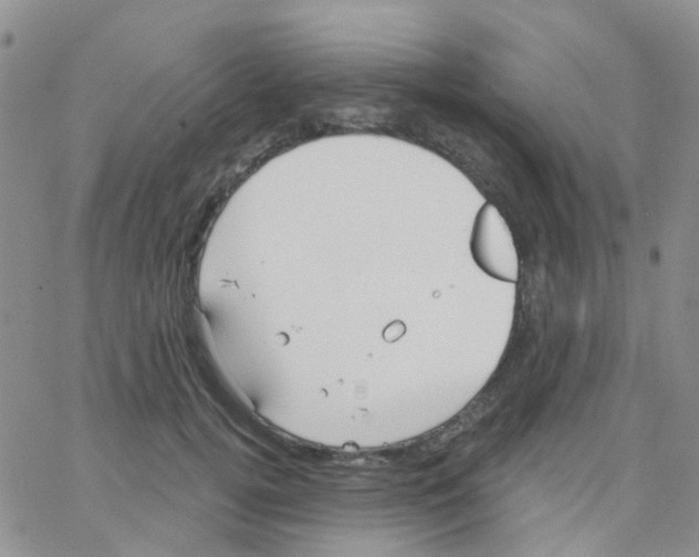 X0000064740752200603131318