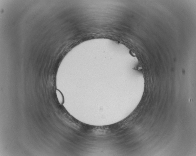 X0000064740756200603131318