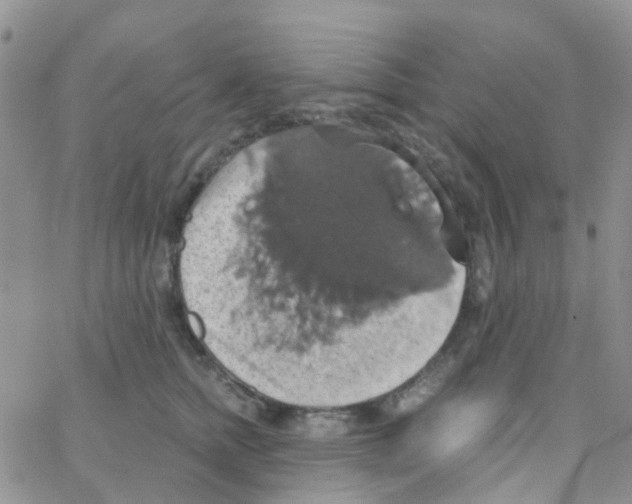 X0000064740758200603131318