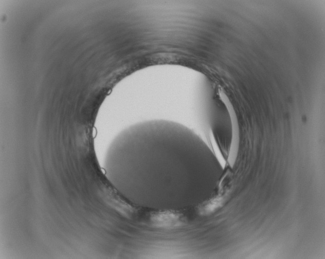 X0000064740759200603131318