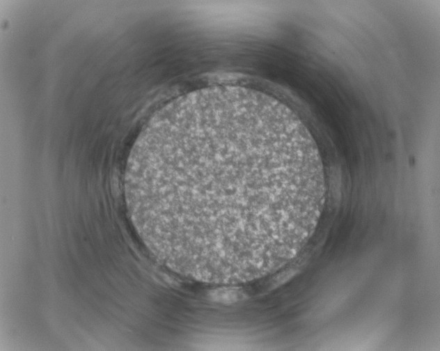 X0000064740761200603131318