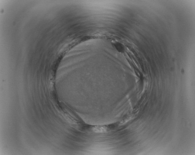 X0000064740762200603131318